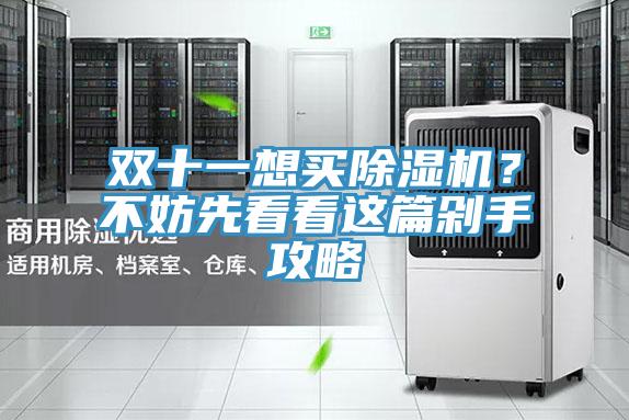 雙十一想買91看片软件大全？不妨先看看這篇剁手攻略