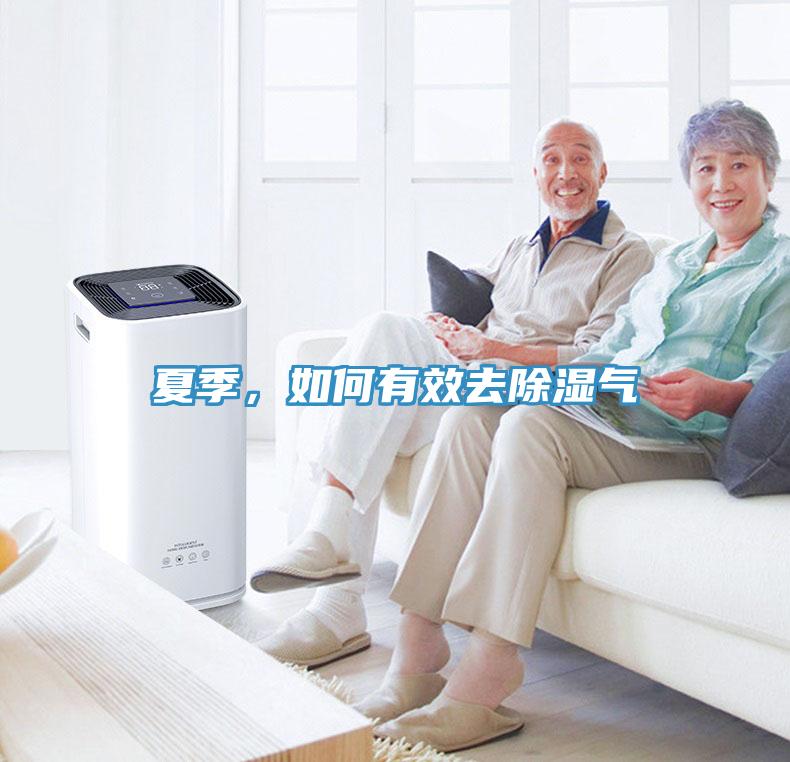夏季，如何有效去除濕氣
