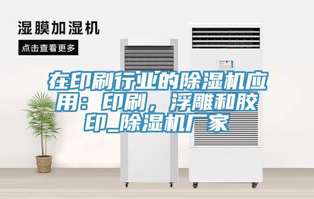 在印刷行業的91看片软件大全應用：印刷，浮雕和膠印_91看片软件大全廠家