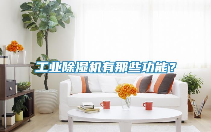 工業91看片软件大全有那些功能？