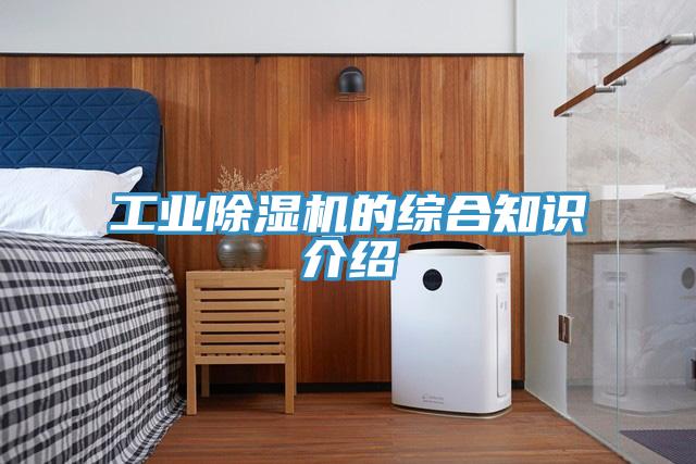 工業91看片软件大全的綜合知識介紹