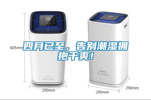 四月已至，告別潮濕擁抱幹爽！