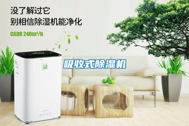 吸收式91看片软件大全