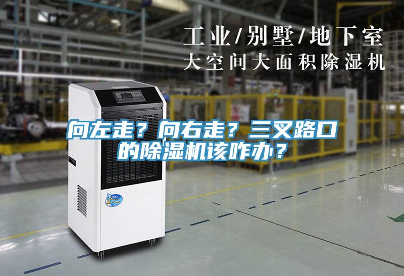 向左走？向右走？三叉路口的91看片软件大全該咋辦？