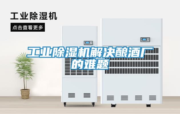 工業91看片软件大全解決釀酒廠的難題