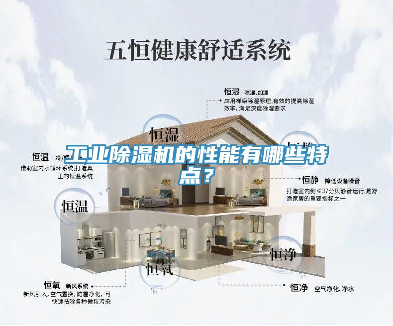 工業91看片软件大全的性能有哪些特點？