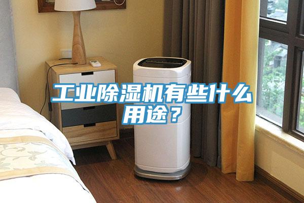 工業91看片软件大全有些什麽用途？