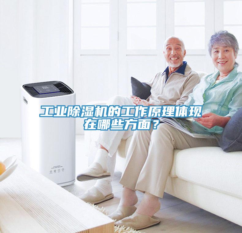工業91看片软件大全的工作原理體現在哪些方麵？
