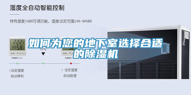 如何為您的地下室選擇合適的91看片软件大全
