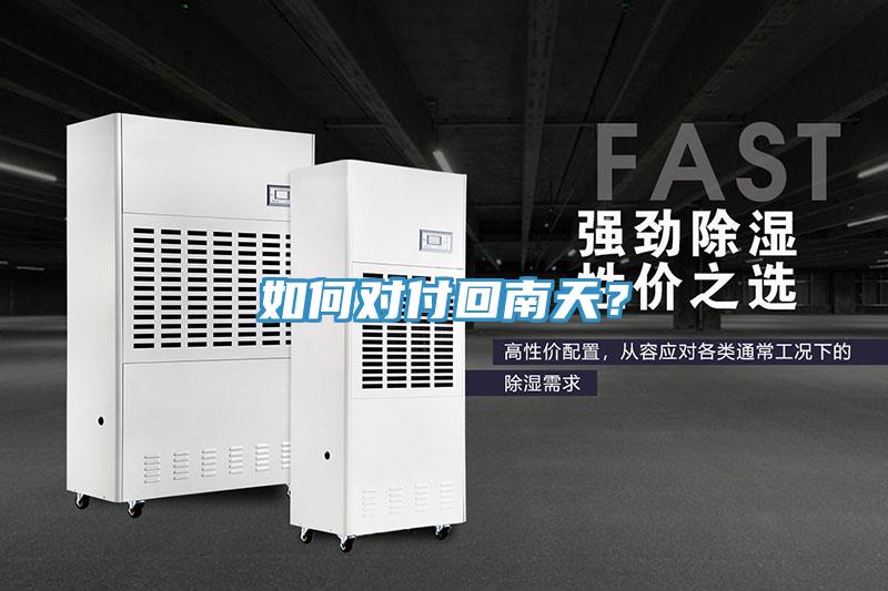 如何對付回南天？