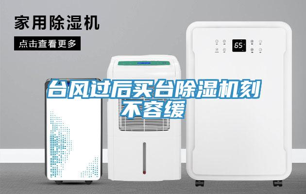 台風過後買台91看片软件大全刻不容緩