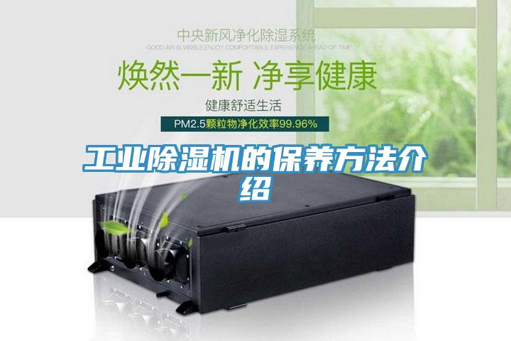 工業91看片软件大全的保養方法介紹