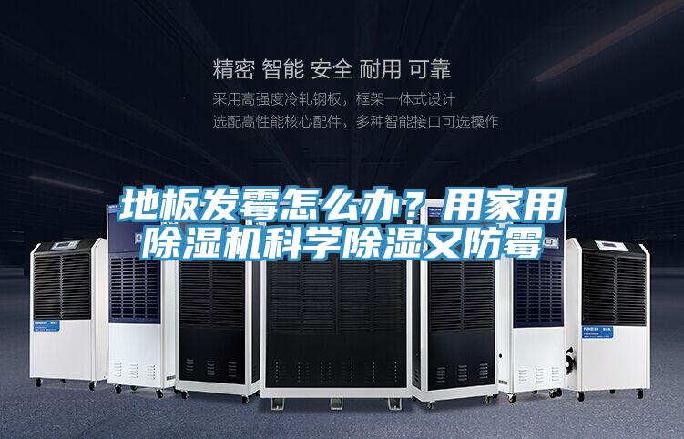 地板發黴怎麽辦？用家用91看片软件大全科學除濕又防黴