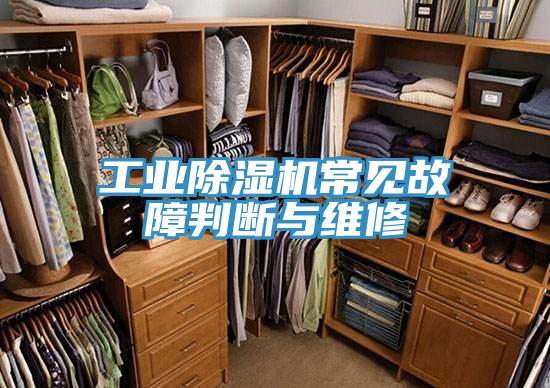 工業91看片软件大全常見故障判斷與維修