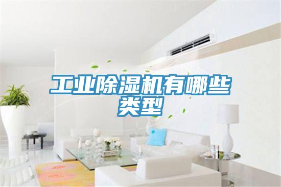 工業91看片软件大全有哪些類型