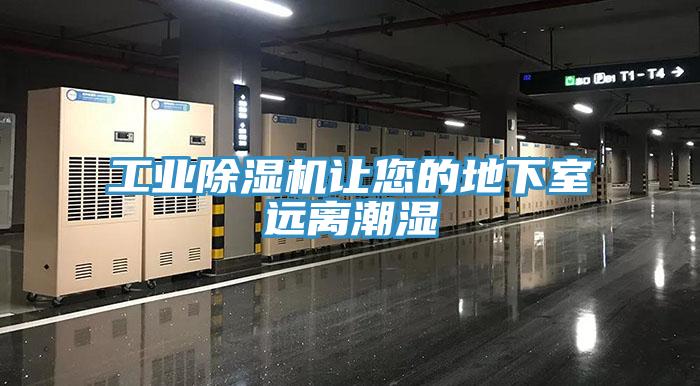 工業91看片软件大全讓您的地下室遠離潮濕
