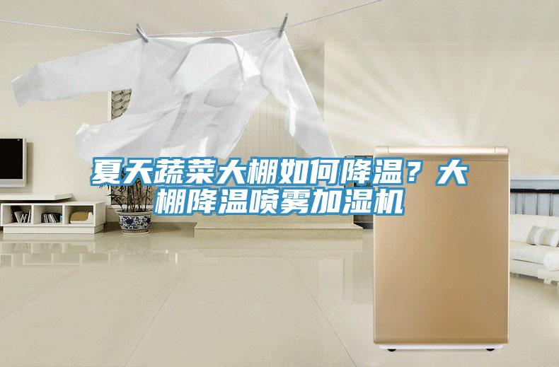 夏天蔬菜大棚如何降溫？大棚降溫噴霧加濕機