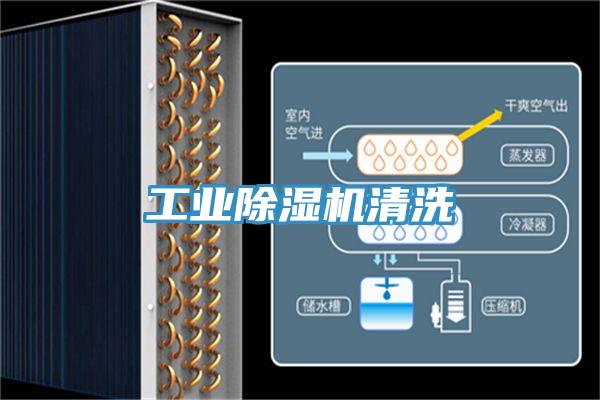 工業91看片软件大全清洗