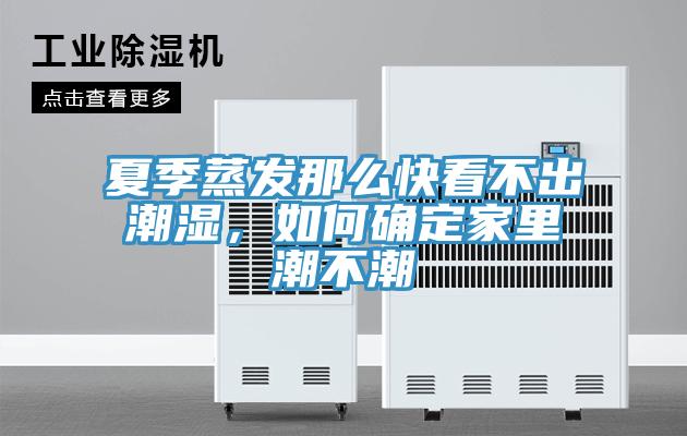 夏季蒸發那麽快看不出潮濕，如何確定家裏潮不潮