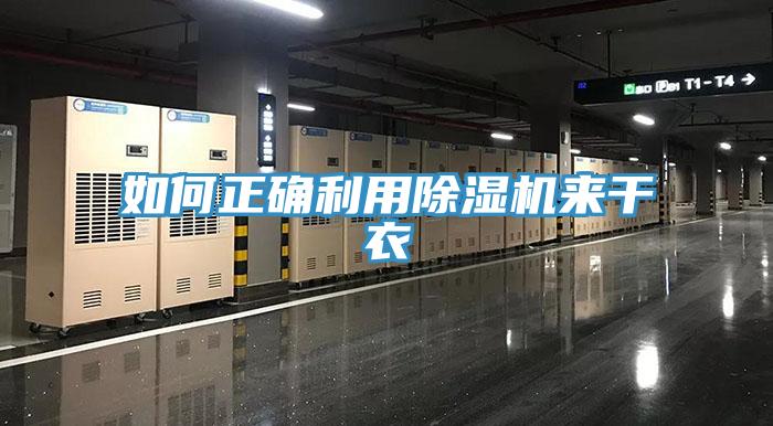 如何正確利用91看片软件大全來幹衣