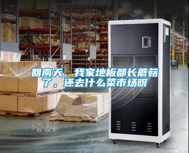 回南天，我家地板都長蘑菇了，還去什麽菜市場呀
