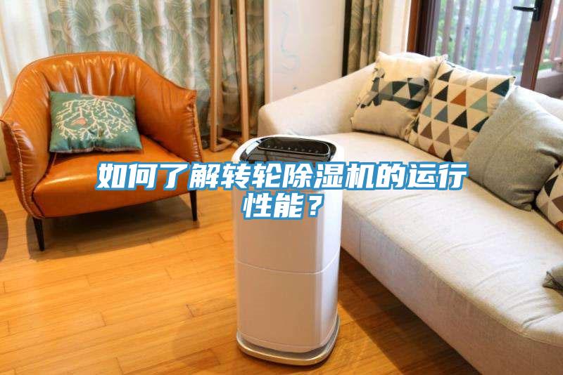 如何了解轉輪91看片软件大全的運行性能？