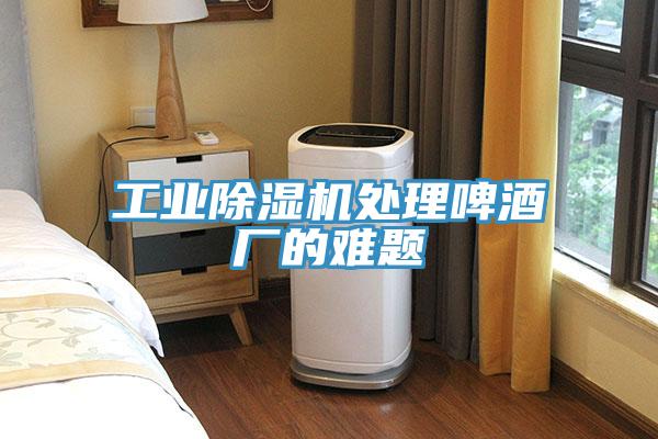 工業91看片软件大全處理啤酒廠的難題