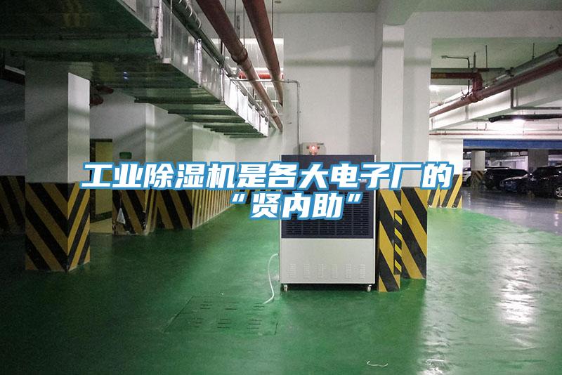 工業91看片软件大全是各大電子廠的“賢內助”