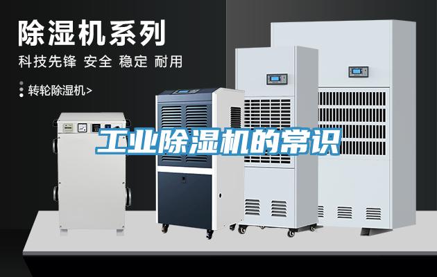 工業91看片软件大全的常識