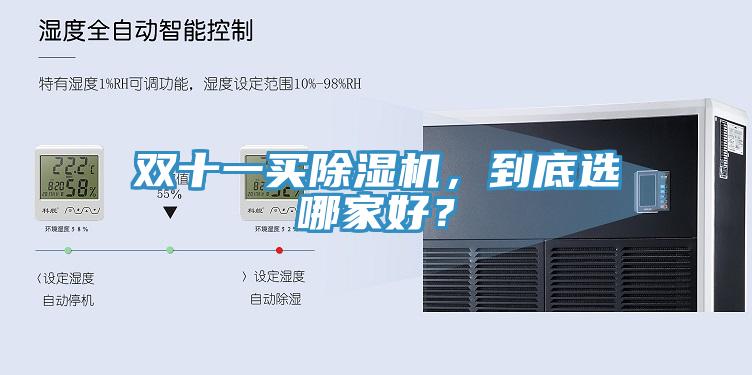 雙十一買91看片软件大全，到底選哪家好？
