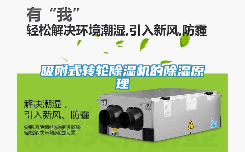 吸附式轉輪91看片软件大全的除濕原理