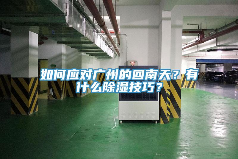 如何應對廣州的回南天？有什麽除濕技巧？