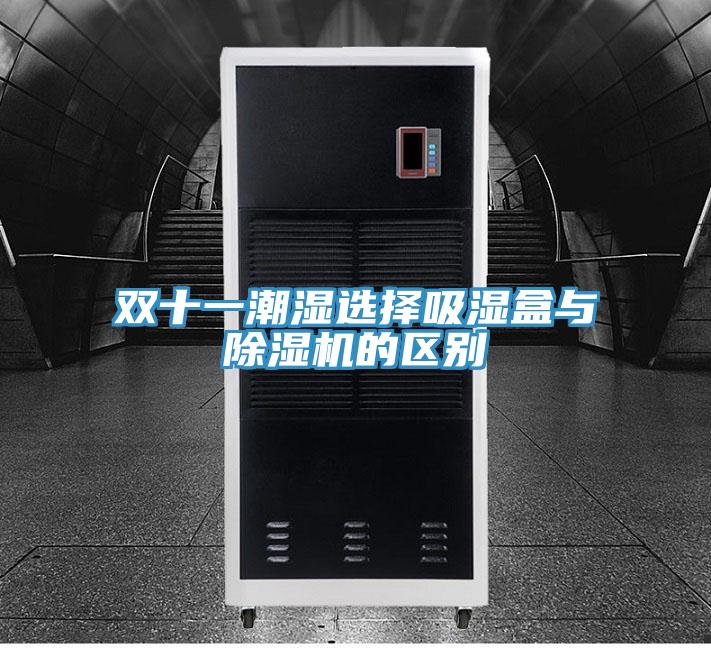 雙十一潮濕選擇吸濕盒與91看片软件大全的區別