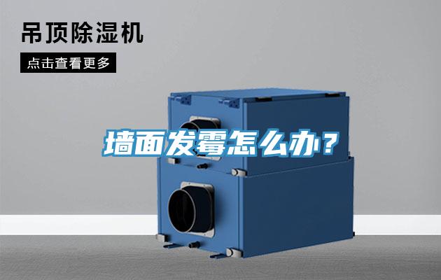 牆麵發黴怎麽辦？