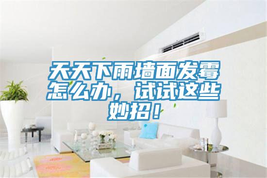 天天下雨牆麵發黴怎麽辦，試試這些妙招！