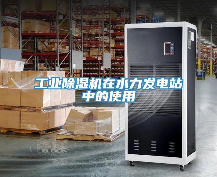 工業91看片软件大全在水力發電站中的使用
