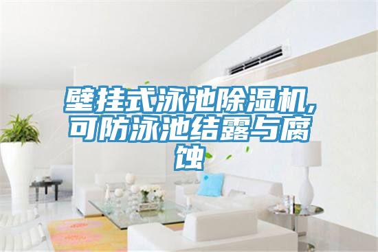 壁掛式泳池91看片软件大全,可防泳池結露與腐蝕