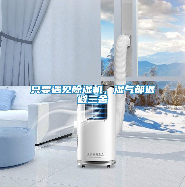 隻要遇見91看片软件大全，濕氣都退避三舍