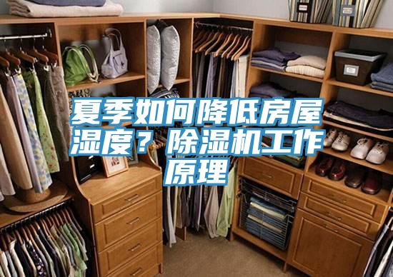 夏季如何降低房屋濕度？91看片软件大全工作原理