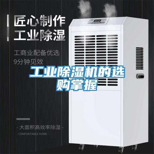 工業91看片软件大全的選購掌握