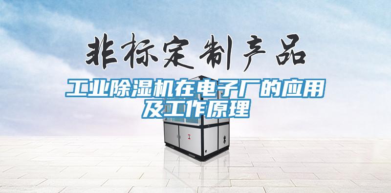 工業91看片软件大全在電子廠的應用及工作原理