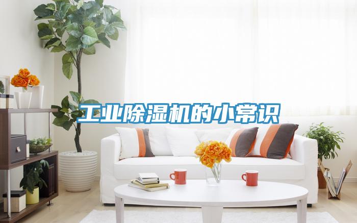 工業91看片软件大全的小常識