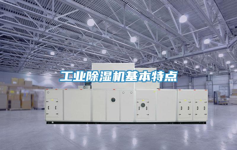 工業91看片软件大全基本特點