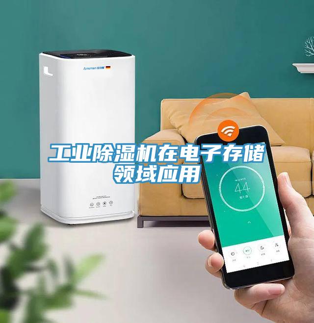 工業91看片软件大全在電子存儲領域應用