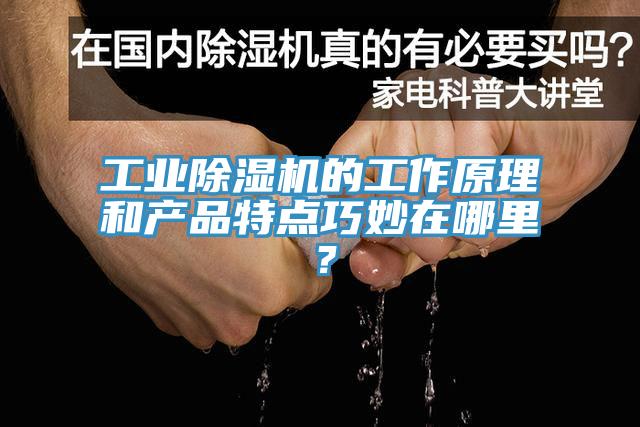 工業91看片软件大全的工作原理和產品特點巧妙在哪裏？