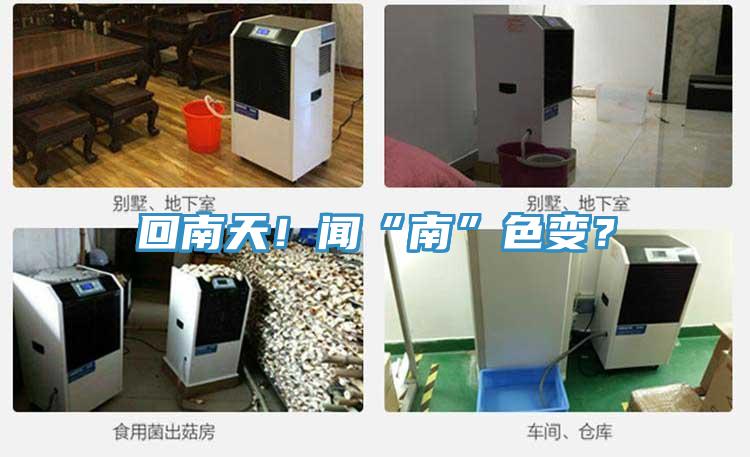 回南天！聞“南”色變？