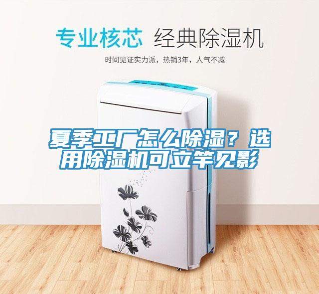 夏季工廠怎麽除濕？選用91看片软件大全可立竿見影