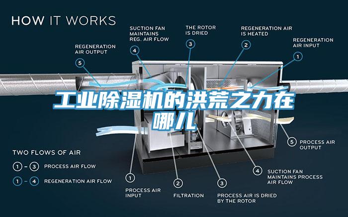 工業91看片软件大全的洪荒之力在哪兒