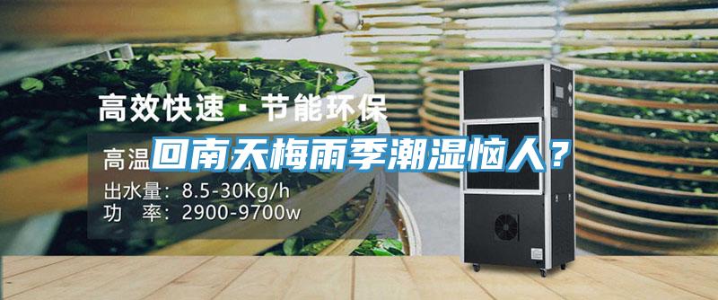 回南天梅雨季潮濕惱人？