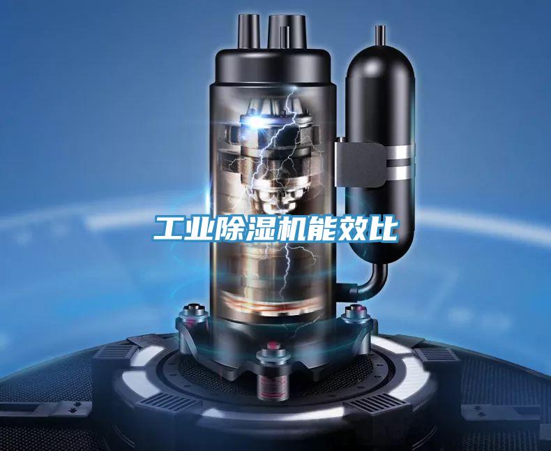 工業91看片软件大全能效比